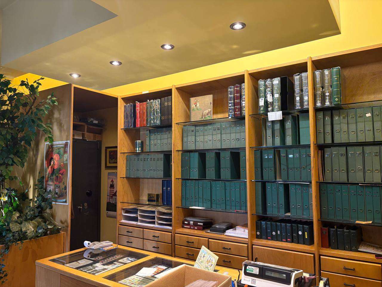 immagine annuncio 5 di 13