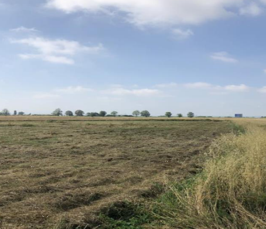 Terreno agricolo in vendita a Cascina (PI)