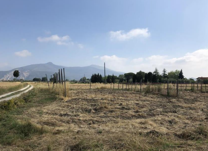 Terreno agricolo in vendita a Cascina (PI)