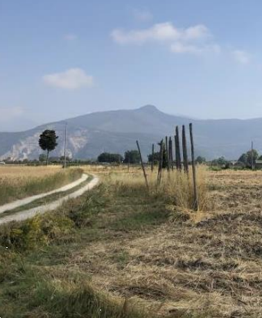 Terreno agricolo in vendita a Cascina (PI)