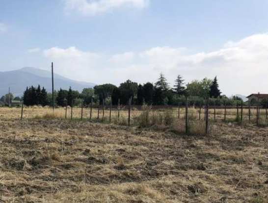 Terreno agricolo in vendita a Cascina (PI)