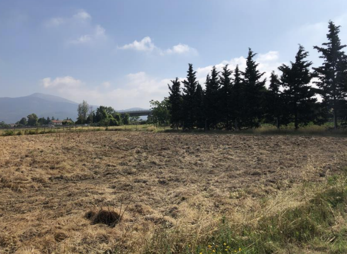 Terreno agricolo in vendita a Cascina (PI)