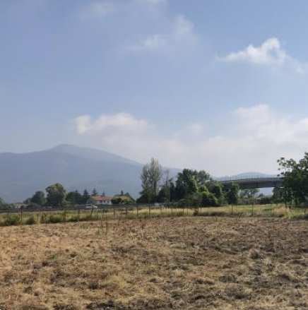 Terreno agricolo in vendita a Cascina (PI)