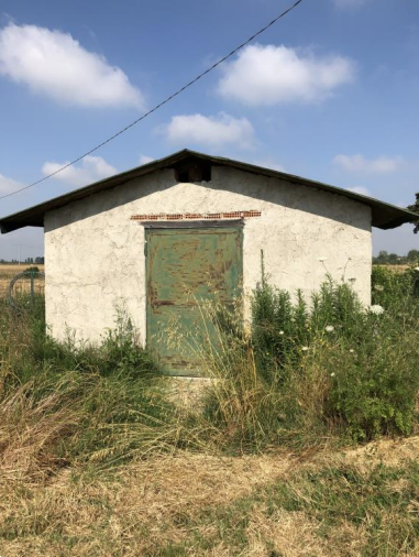 Terreno agricolo in vendita a Cascina (PI)