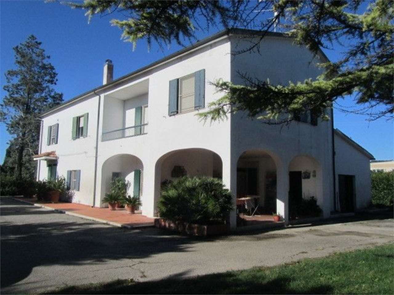 immagine annuncio 4 di 12
