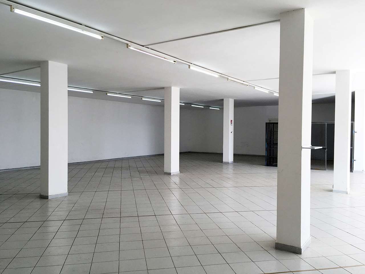 immagine annuncio 5 di 9