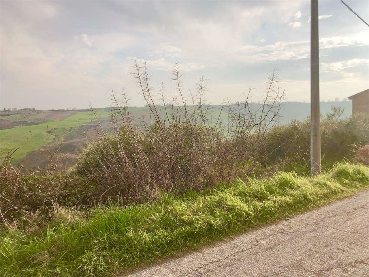 immagine annuncio 5 di 8