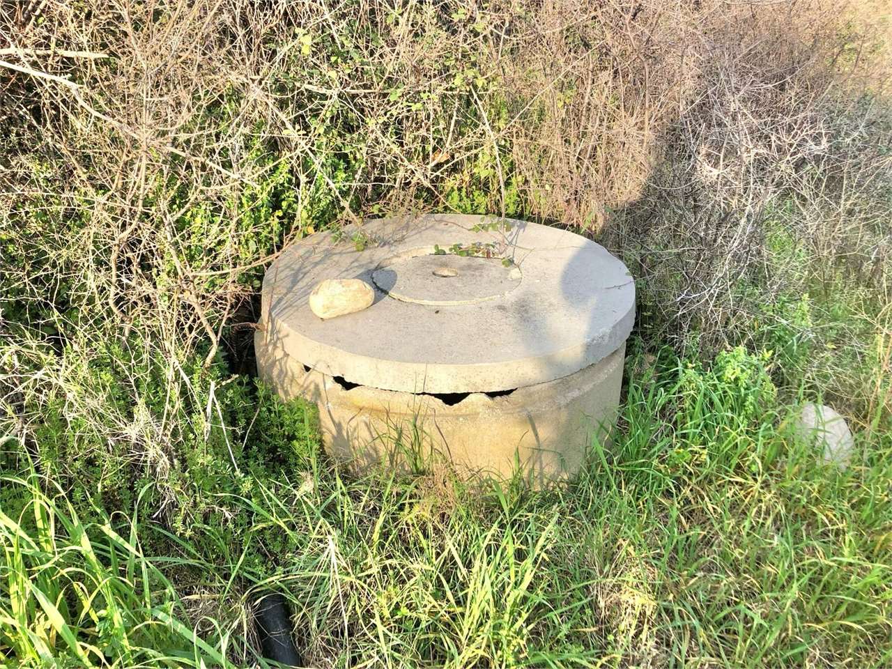 immagine annuncio 7 di 8