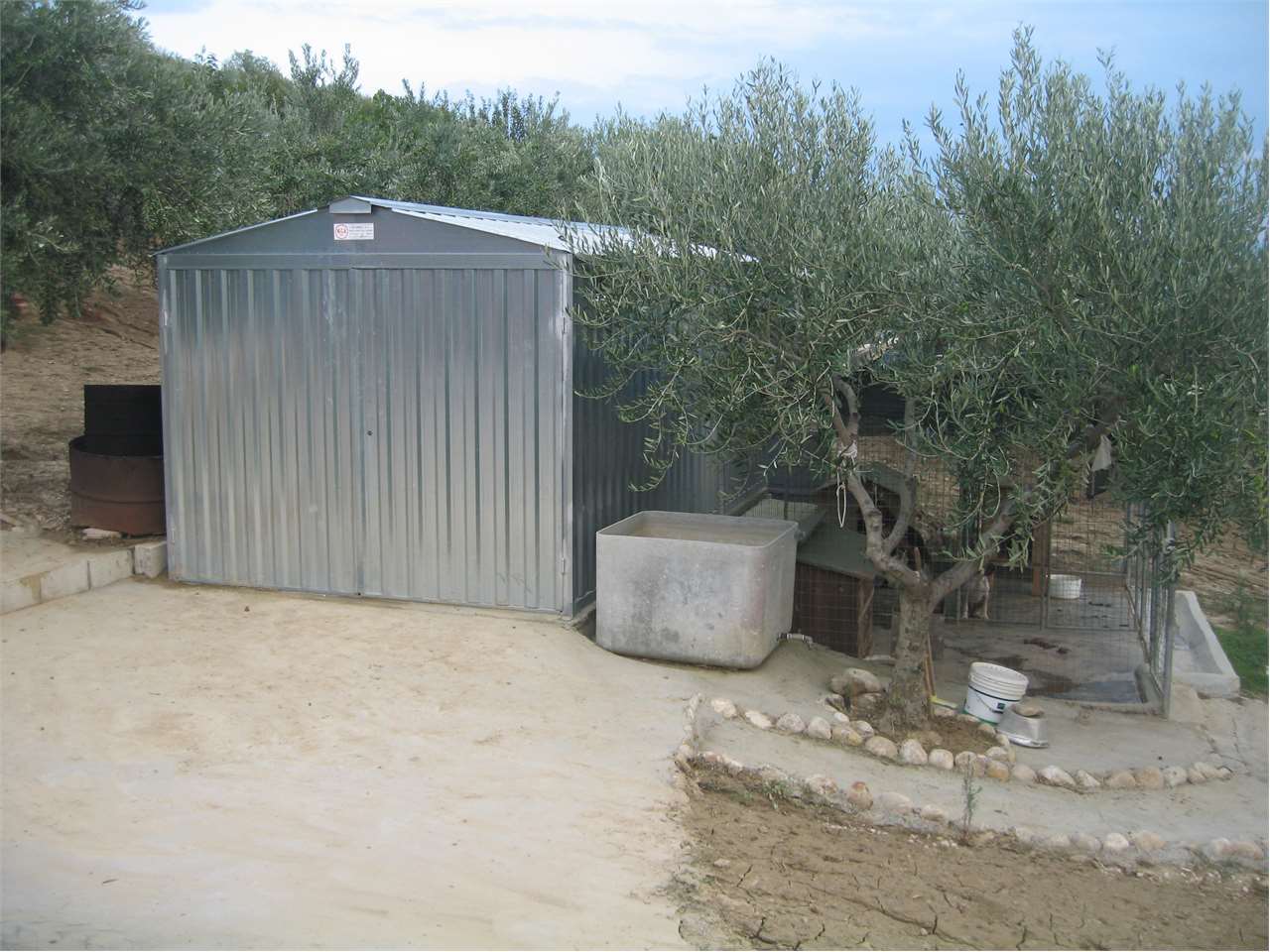 immagine annuncio 10 di 15