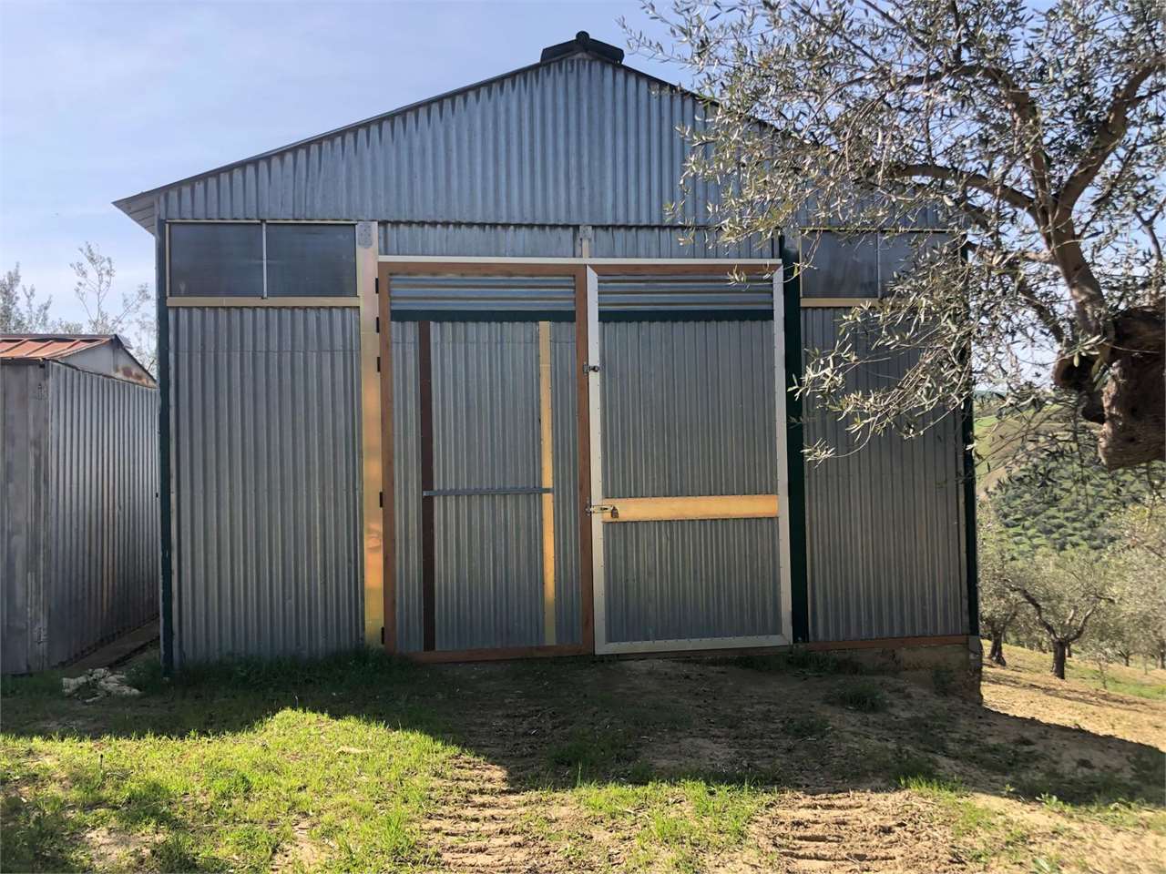 immagine annuncio 2 di 15