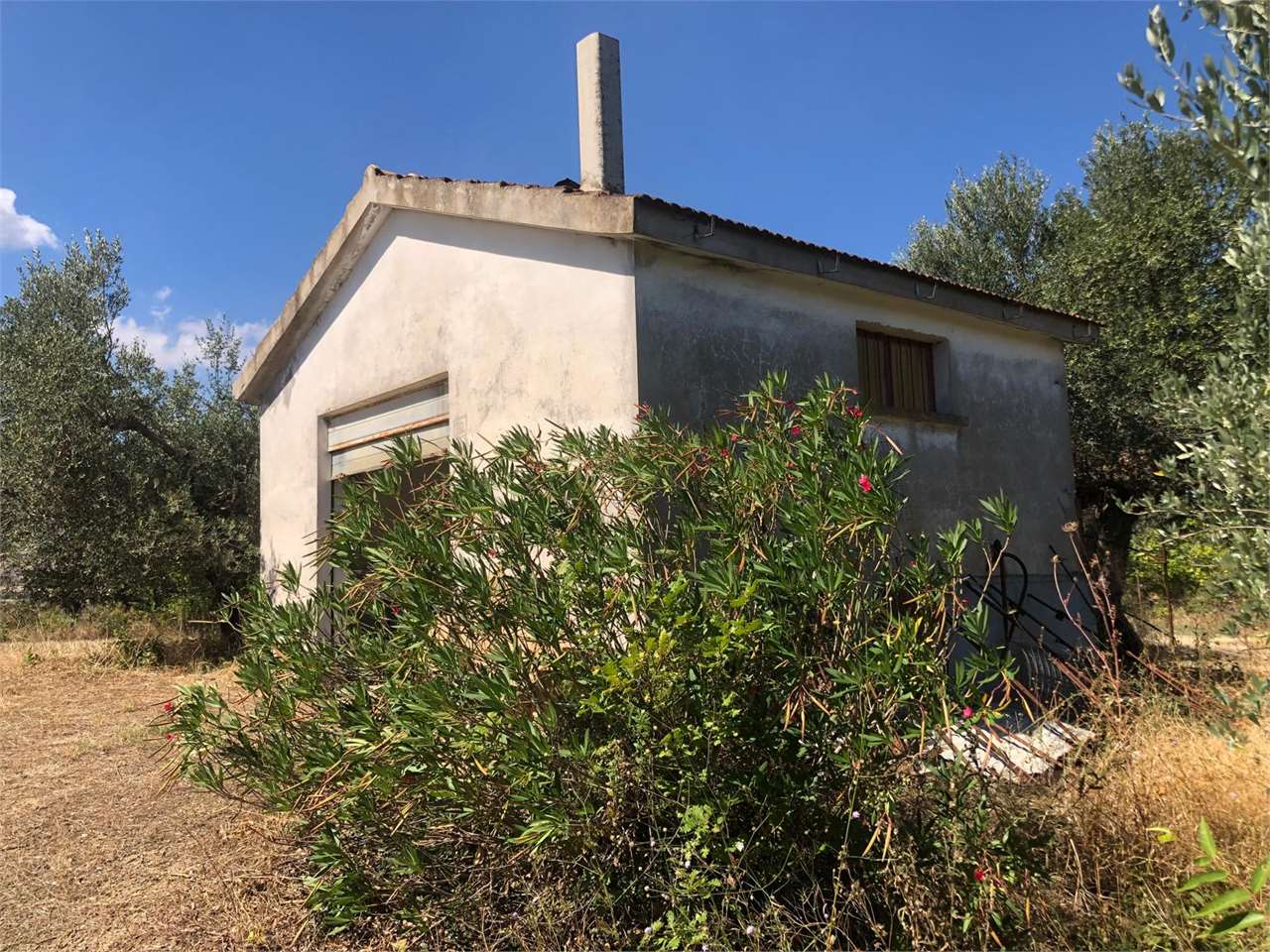 immagine annuncio 5 di 15