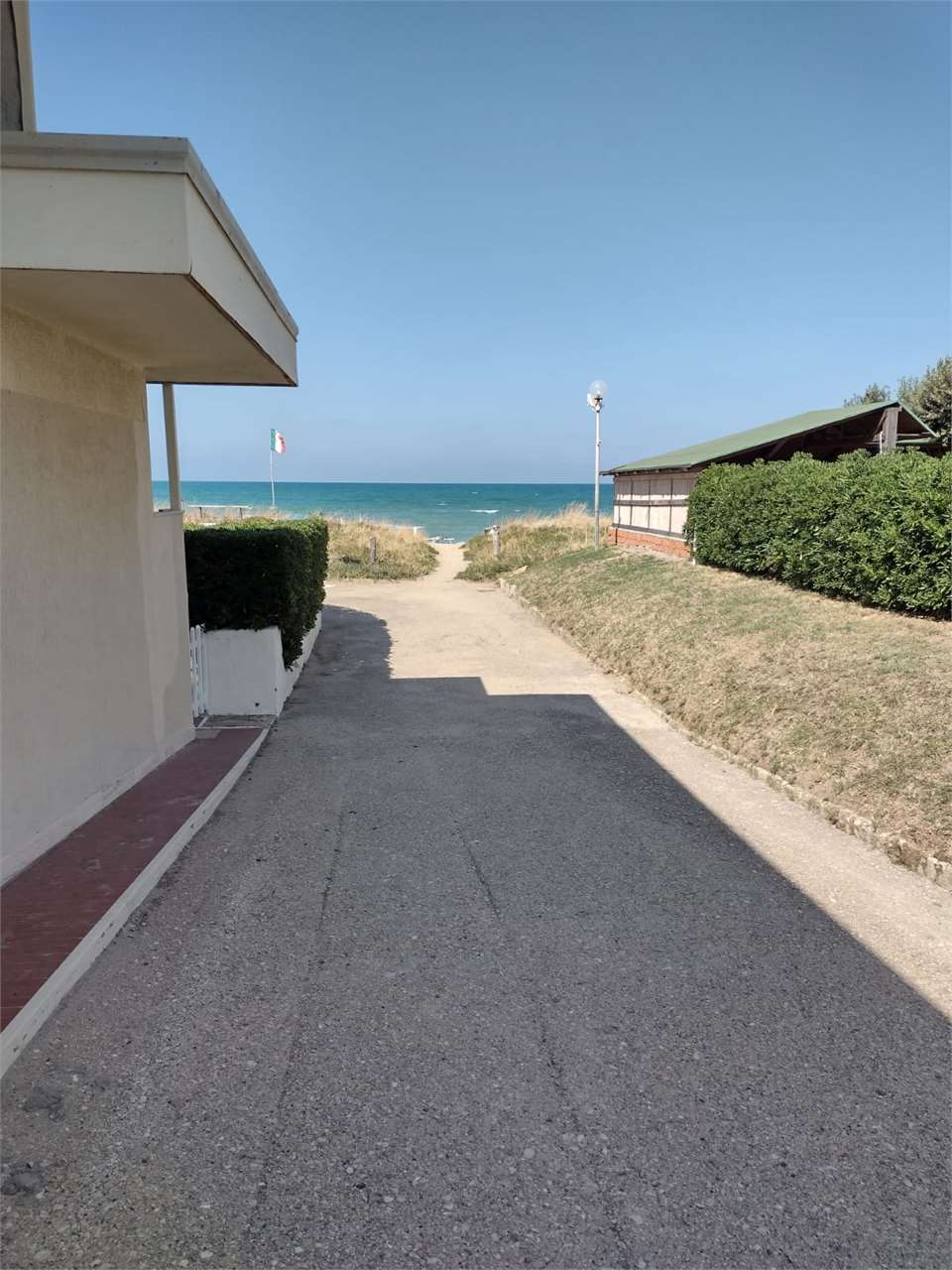 immagine annuncio 6 di 13