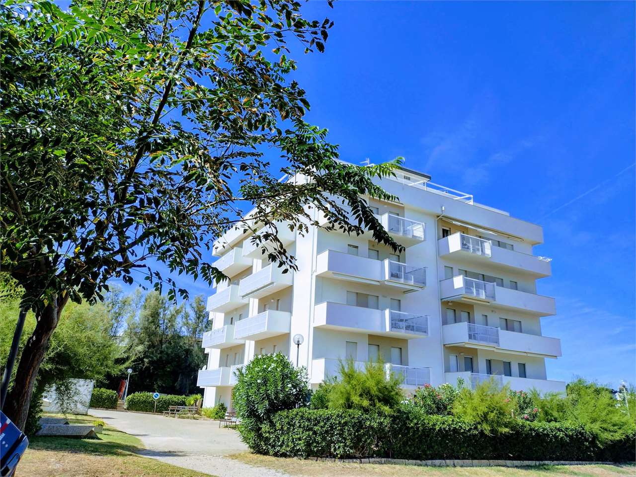 immagine annuncio 12 di 13