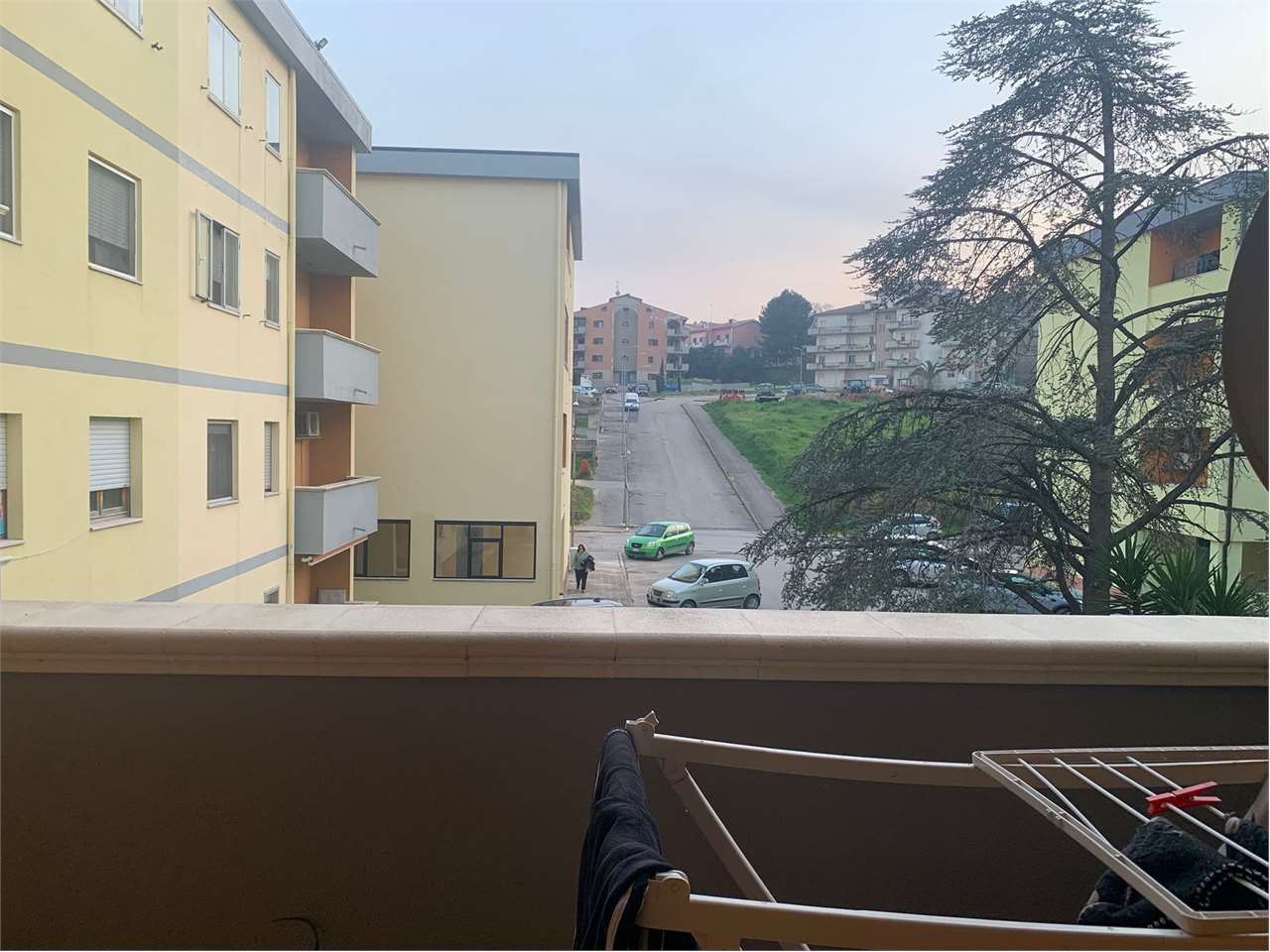 immagine annuncio 10 di 14