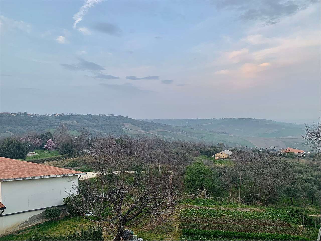 immagine annuncio 6 di 14