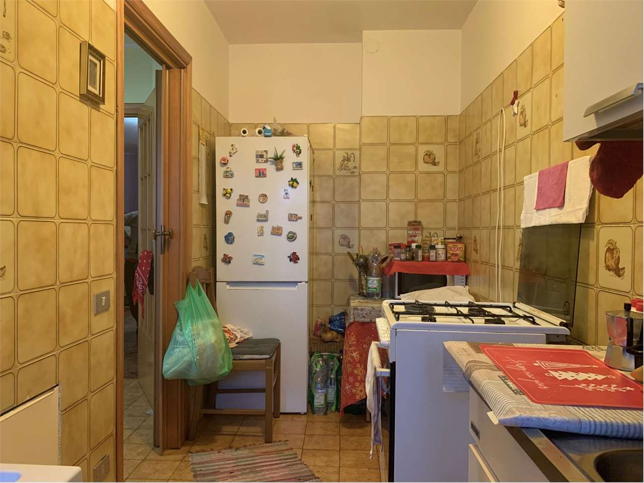 immagine annuncio 11 di 14