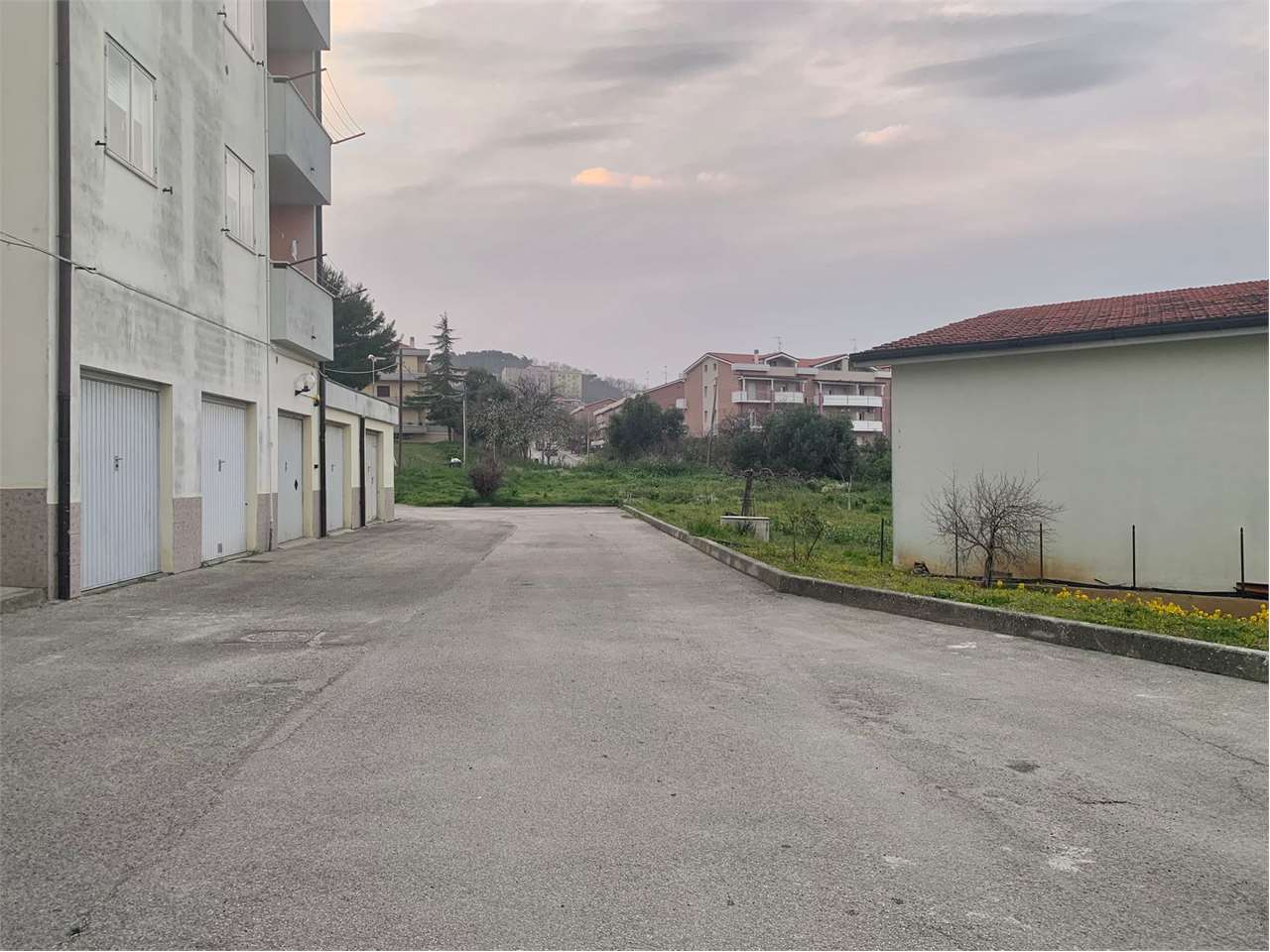 immagine annuncio 4 di 14