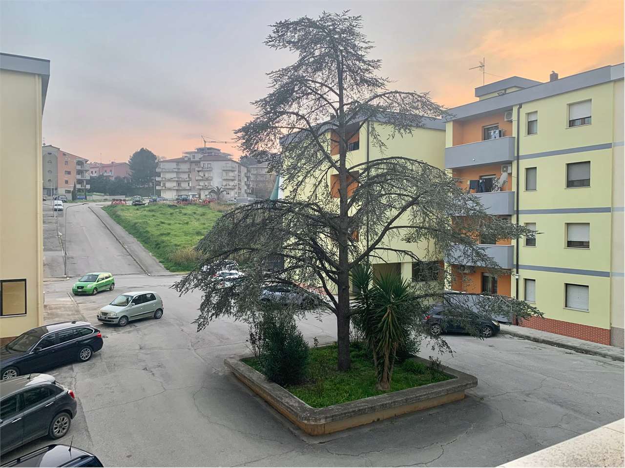 immagine annuncio 3 di 14