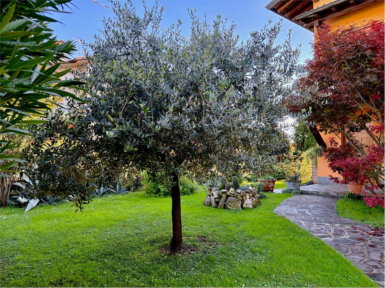 immagine annuncio 11 di 15