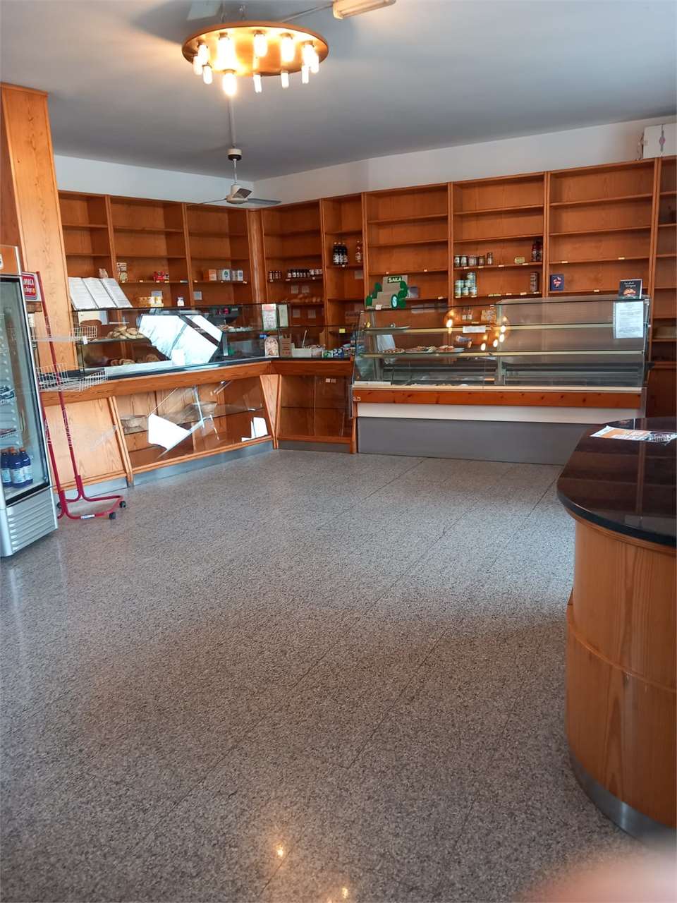 immagine annuncio 1 di 14
