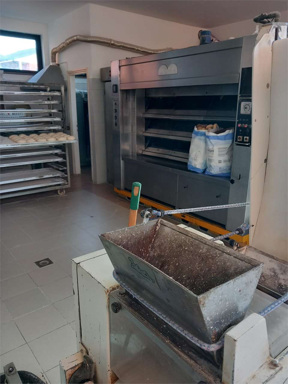 immagine annuncio 9 di 14