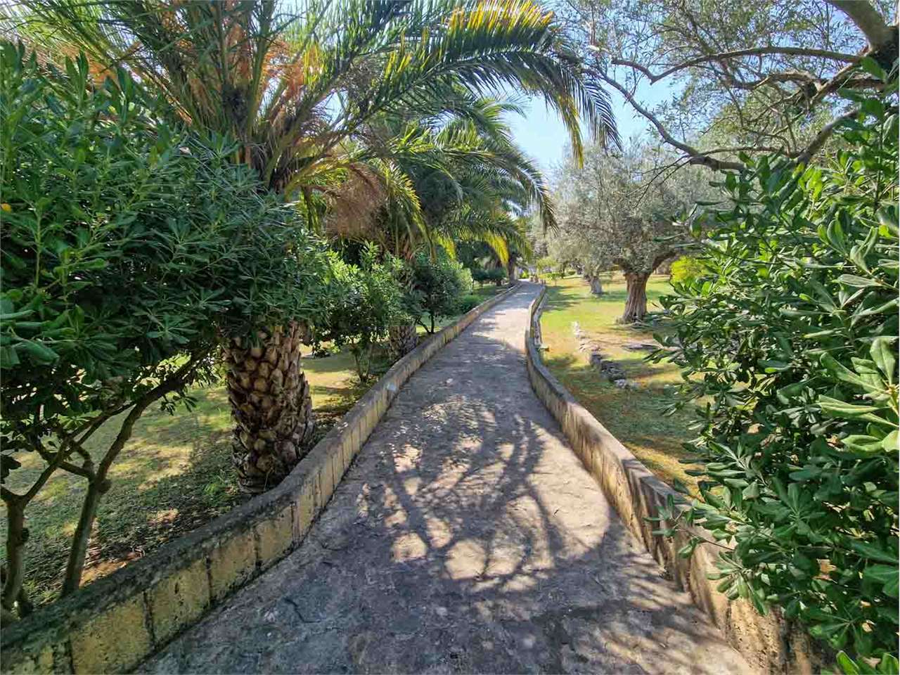 Azienda agricola in vendita a Giano Vetusto (CE)