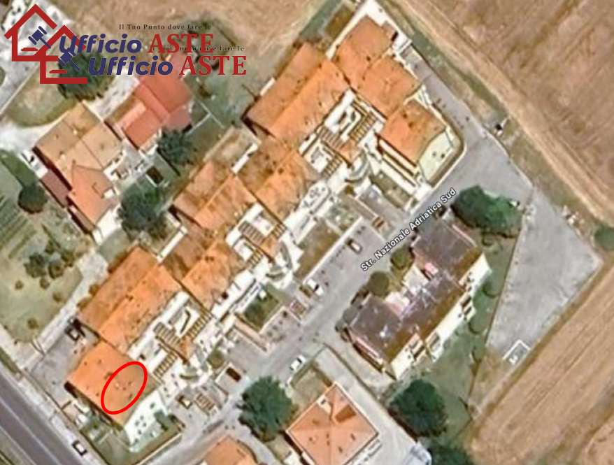 immagine annuncio 12 di 14
