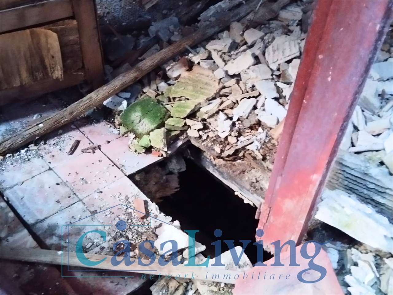 immagine annuncio 5 di 11