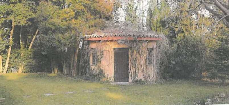 immagine annuncio 13 di 14