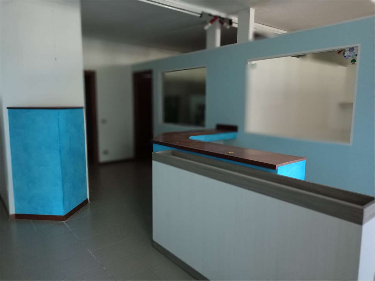 immagine annuncio 3 di 7