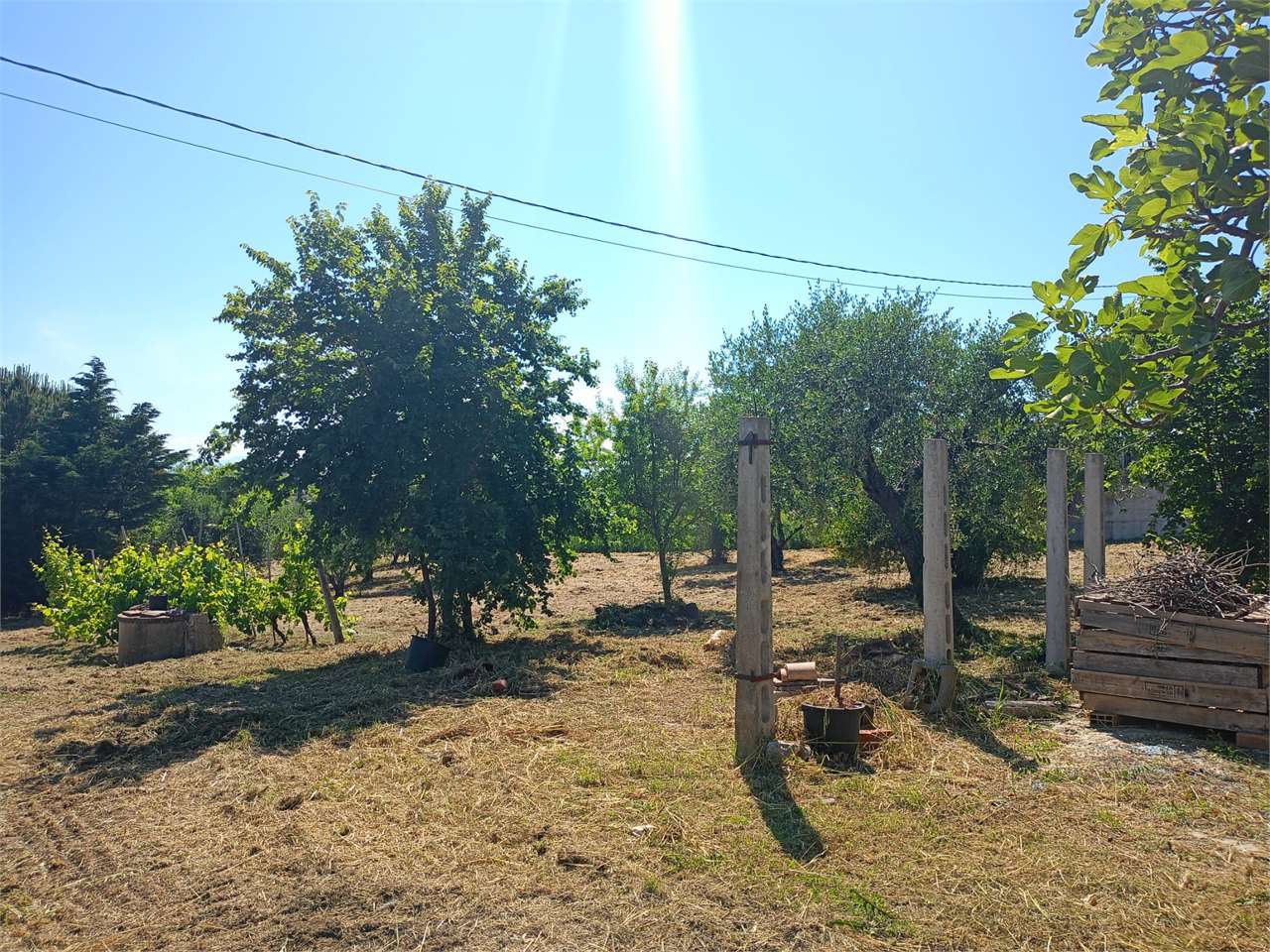 immagine annuncio 3 di 7