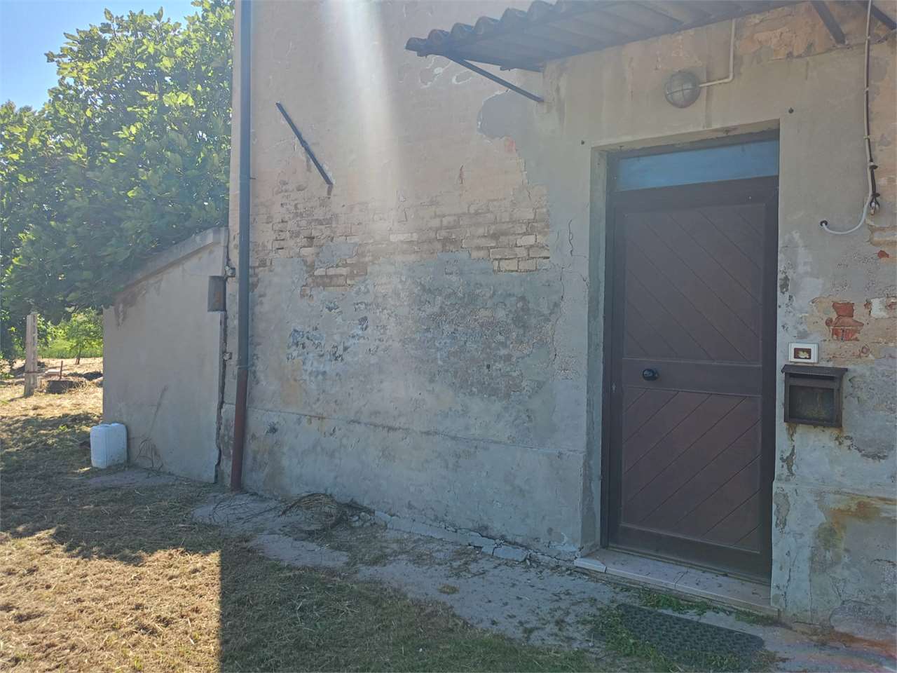 immagine annuncio 4 di 7