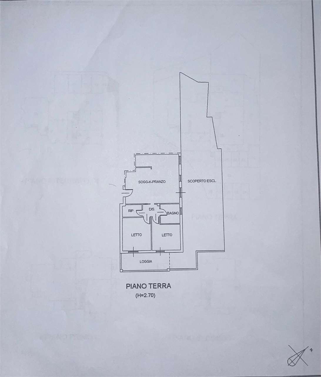 immagine annuncio 12 di 13