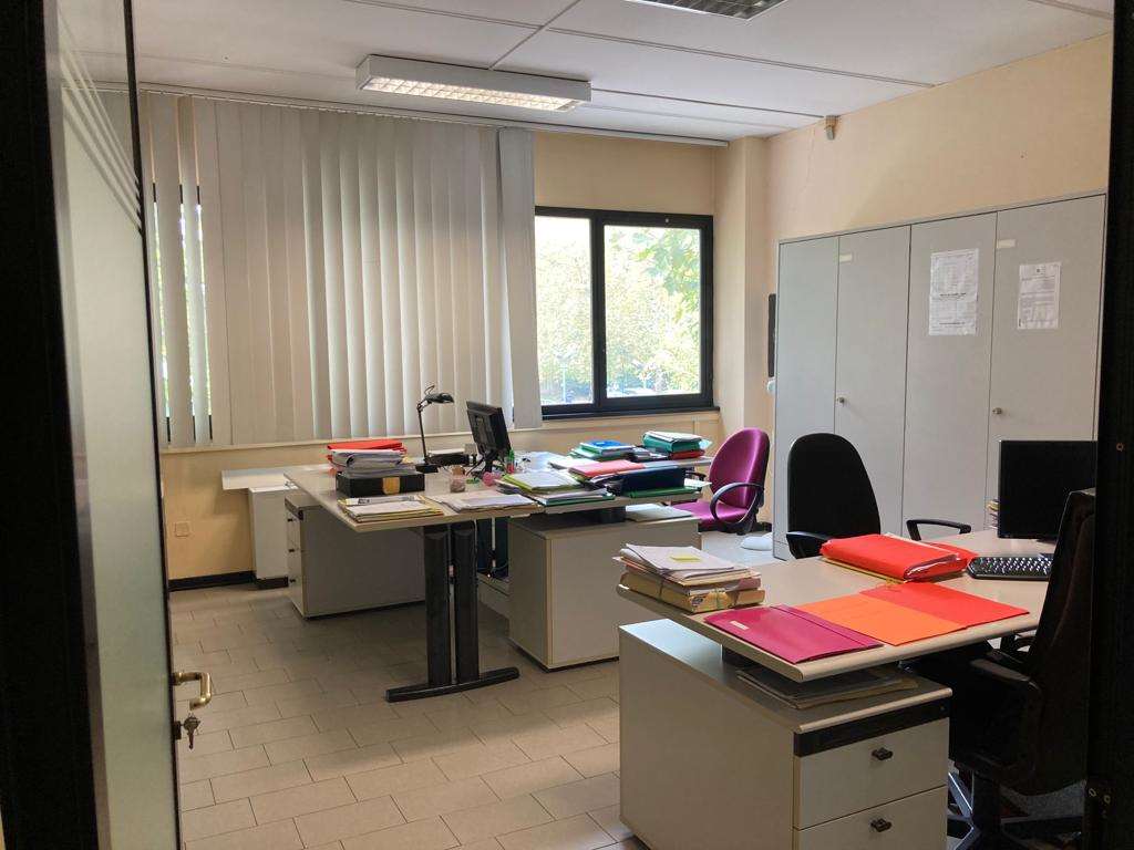 immagine annuncio 4 di 14