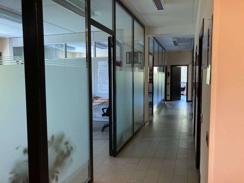 immagine annuncio 7 di 14