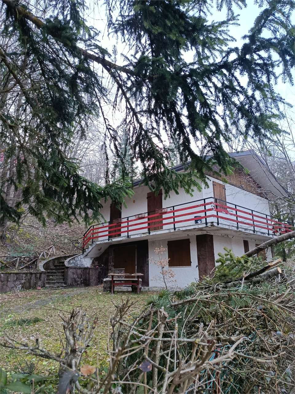 immagine annuncio 4 di 13