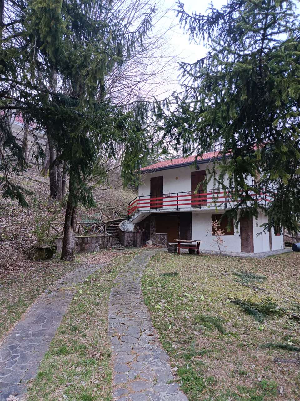 immagine annuncio 5 di 13