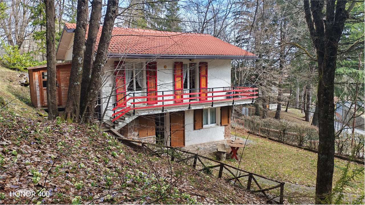 immagine annuncio 2 di 13