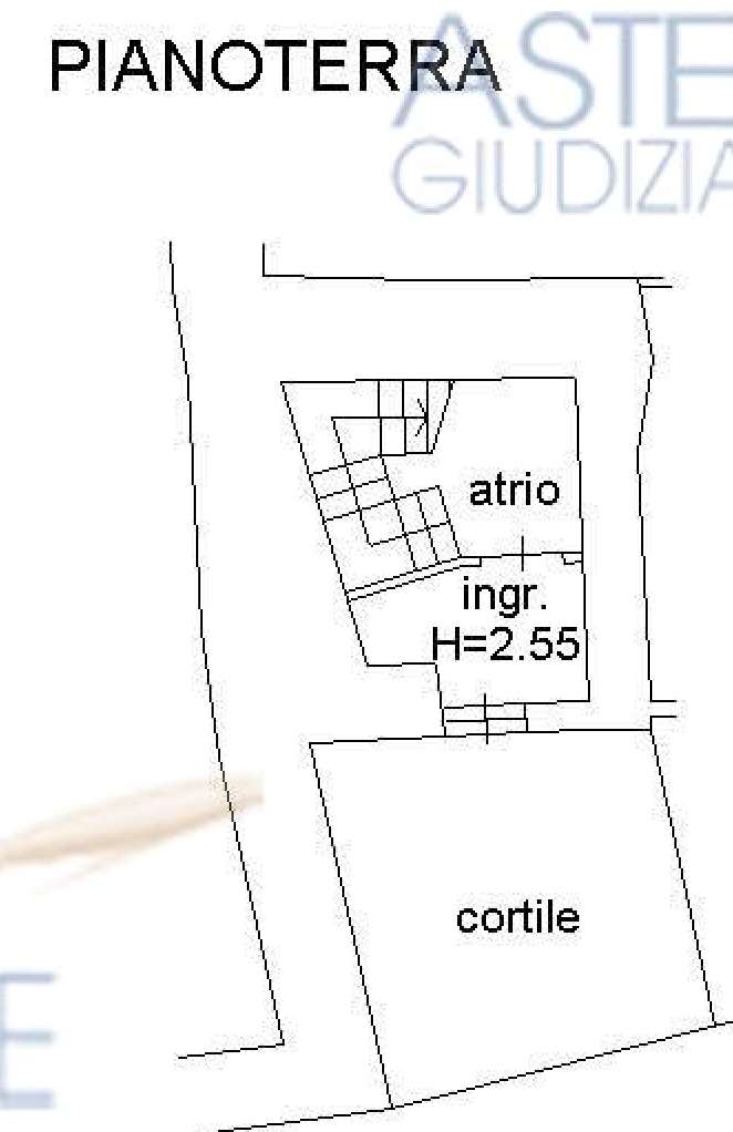 https://img.miogest.com/26336/3/imm_38704-20250212134927--1022.jpg