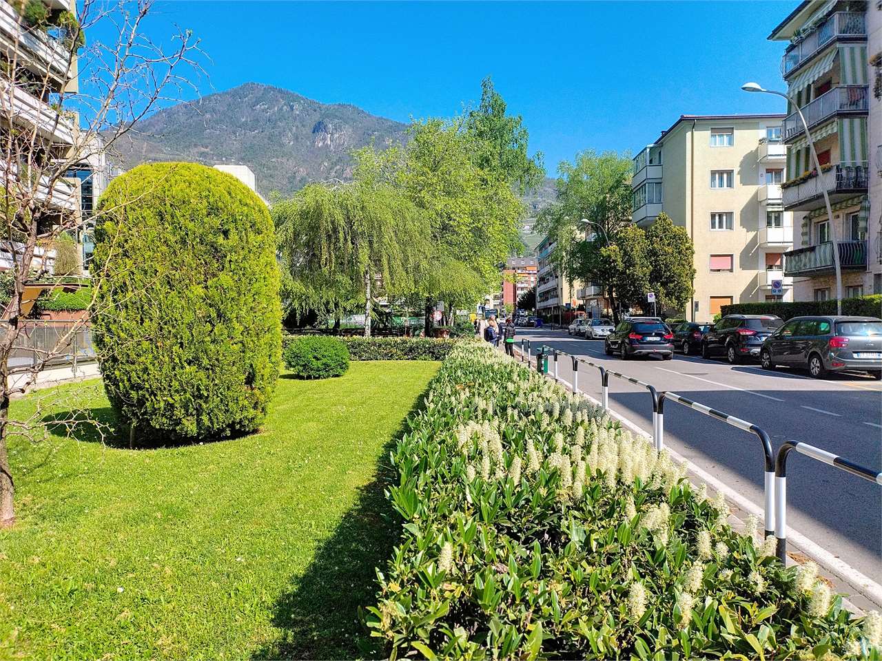 https://img.miogest.com/26336/4/imm_43810-20250410165552-1280-.jpg