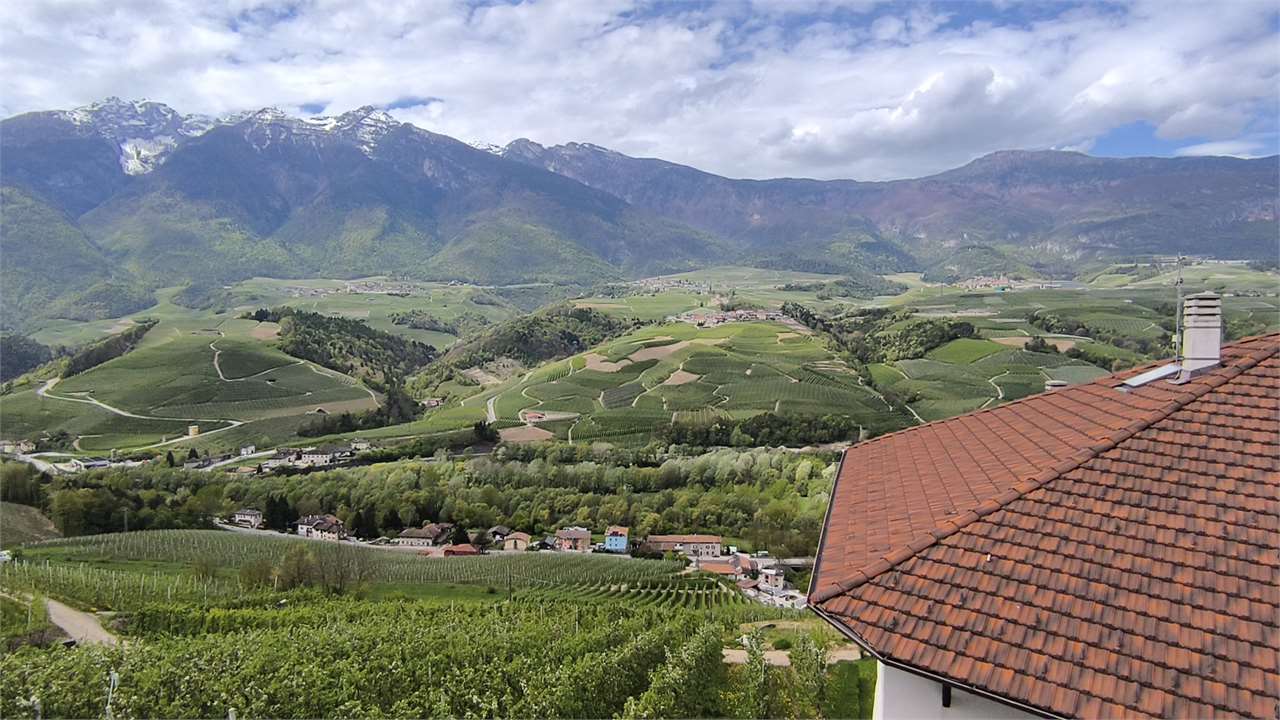 https://img.miogest.com/26336/4/imm_45009-20250422200607-1280-.jpg