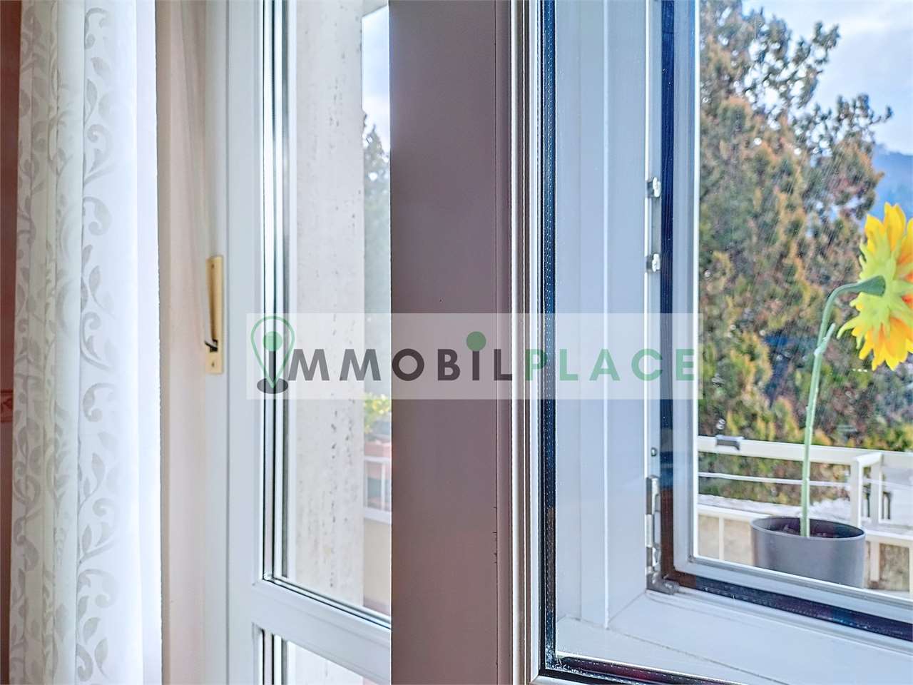 https://img.miogest.com/26336/6/imm_67881-20260210163226-1280-.jpeg