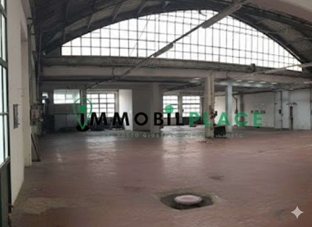 https://img.miogest.com/26336/7/imm_70921-20260210113306-1024-.jpg