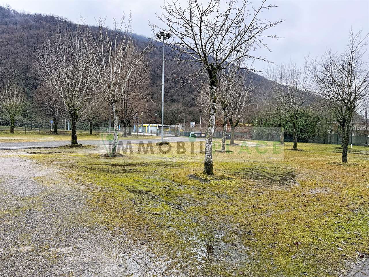 https://img.miogest.com/26336/7/imm_71286-20260212205558-1280-.jpg