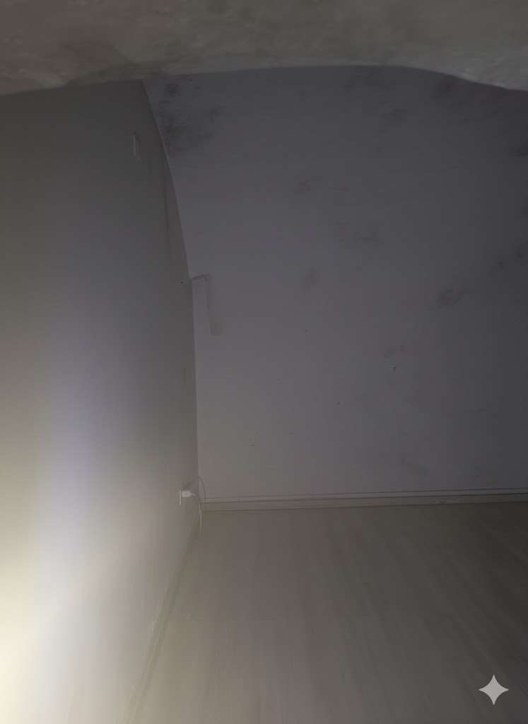 https://img.miogest.com/26336/7/imm_71983-20260219100931--1024.jpg
