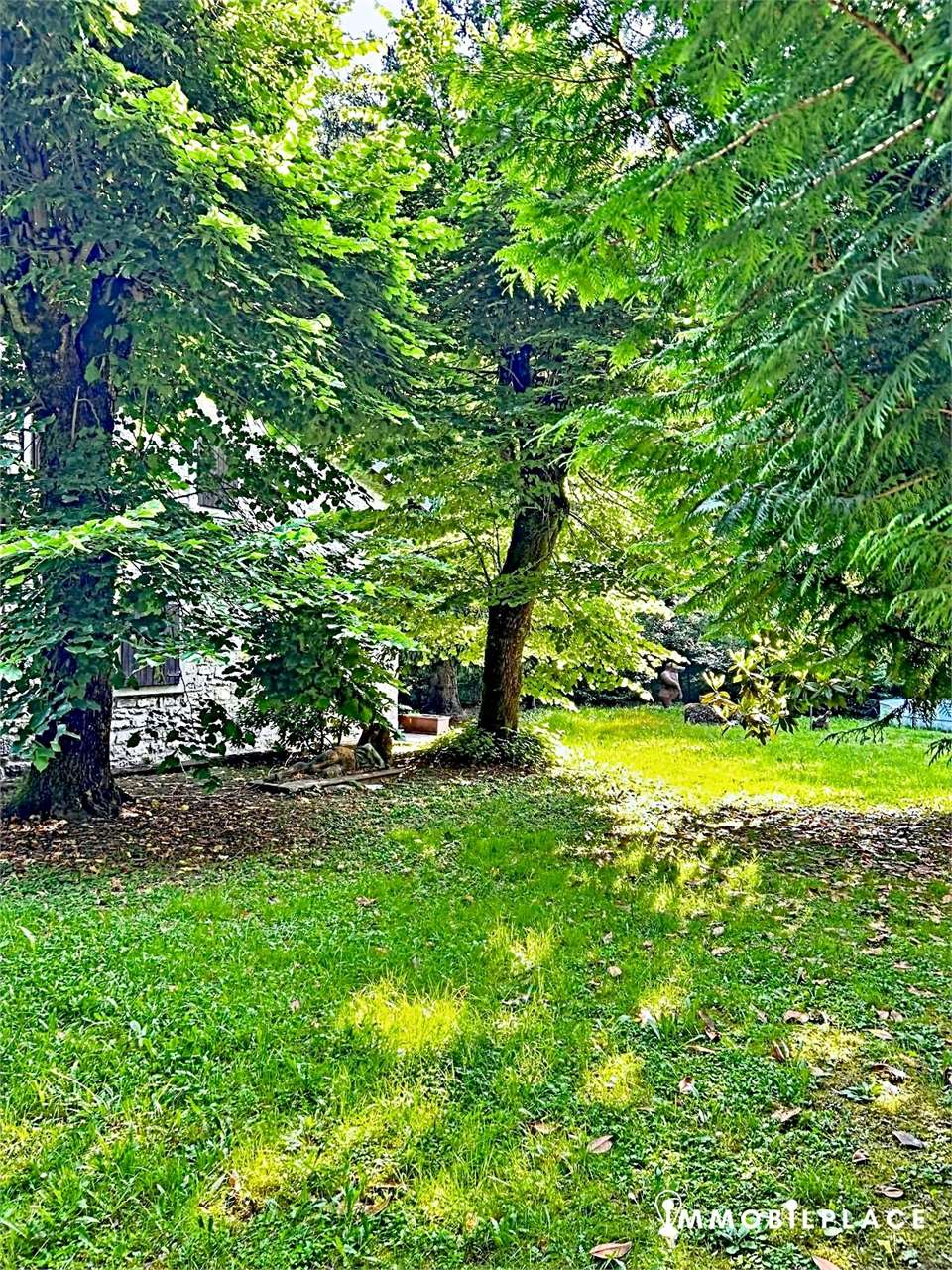 https://img.miogest.com/26336/7/imm_74578-20260305103219--1280.jpg
