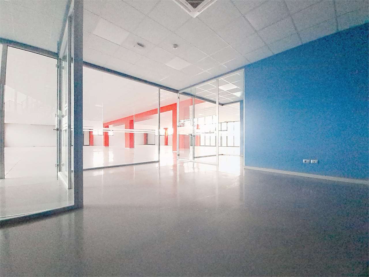 https://img.miogest.com/26336/7/imm_75343-20260310103937-1280-.jpg