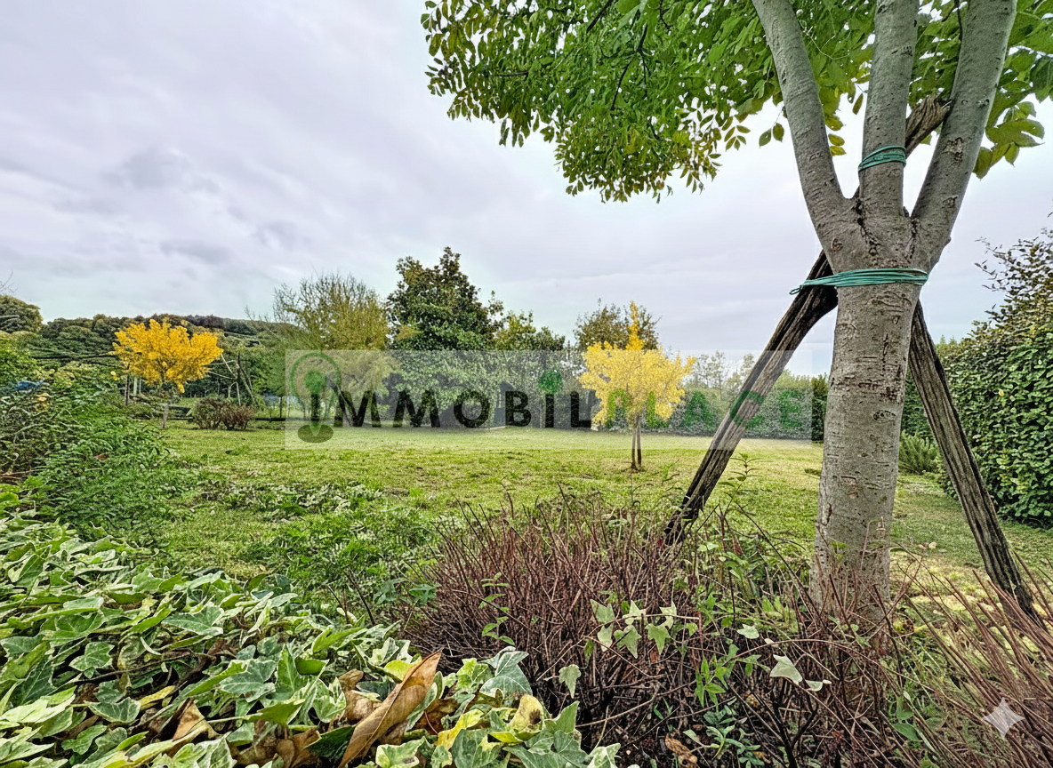 https://img.miogest.com/26336/7/imm_75480-20260311134523-1184-.png