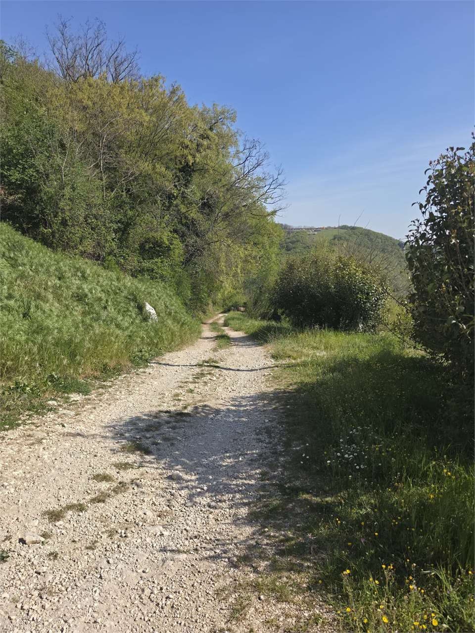 https://img.miogest.com/26336/8/imm_80108-20260427113519--1280.jpeg