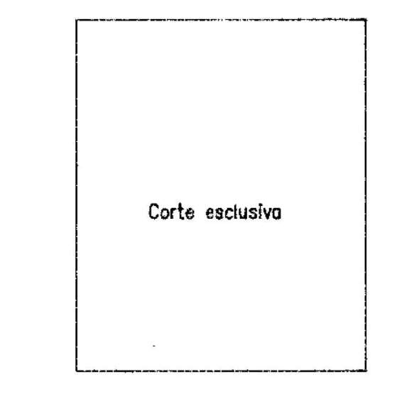 https://img.miogest.com/26336/8/imm_82057-20260514070222--590.jpg